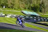 Evening Adv_Mid Group Blue Bikes